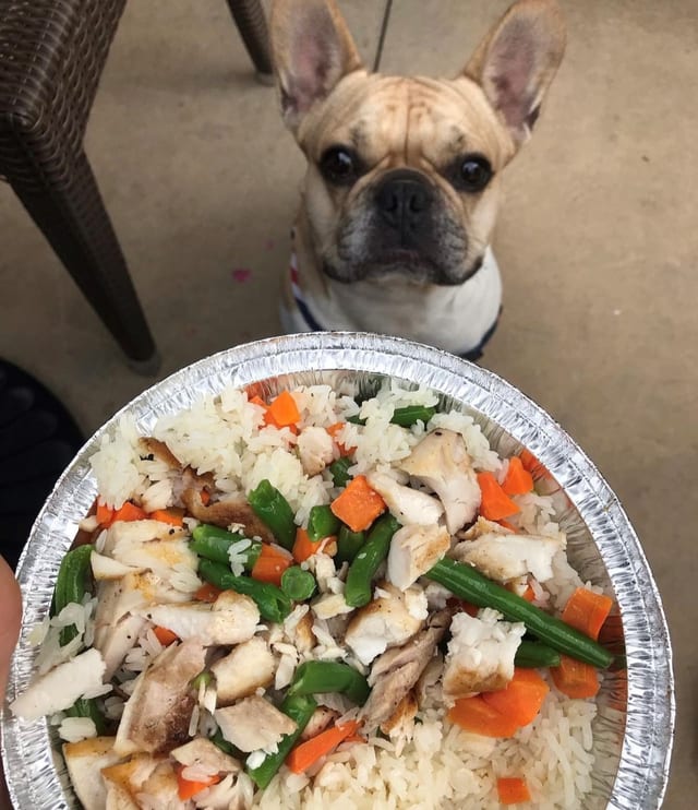 Doggie Diner